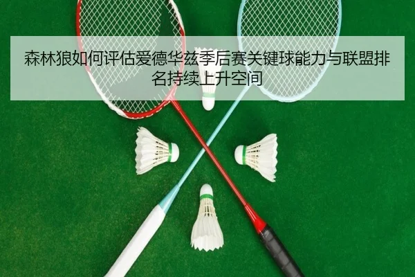 森林狼如何评估爱德华兹季后赛关键球能力与联盟排名持续上升空间